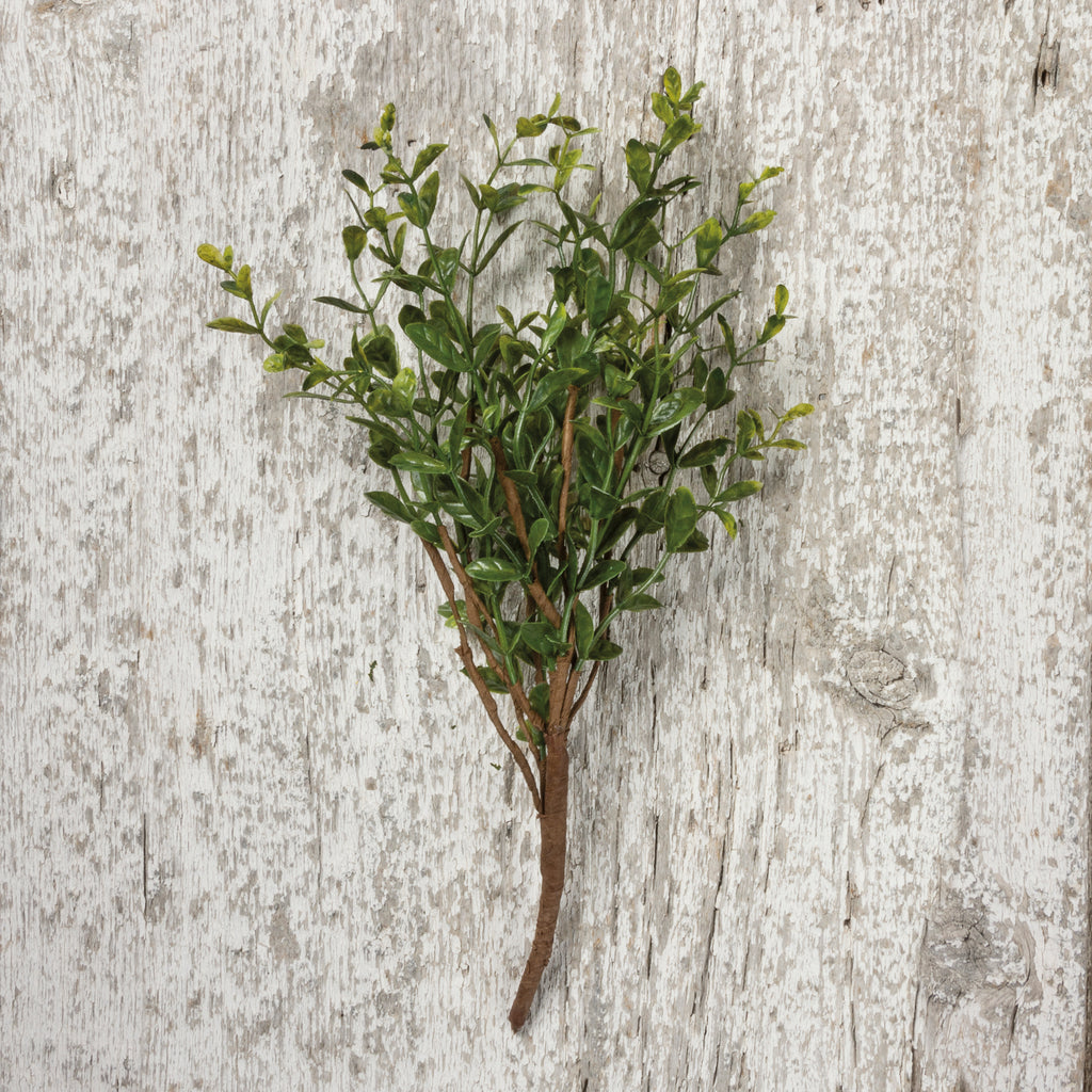 Boxwood Stem, Plant & Floral Cheap Décor  