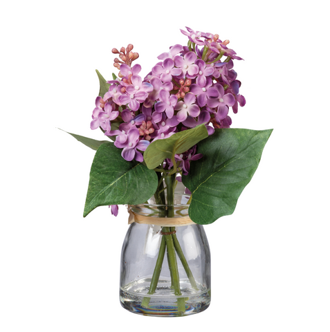 Plant - Purple Lilac